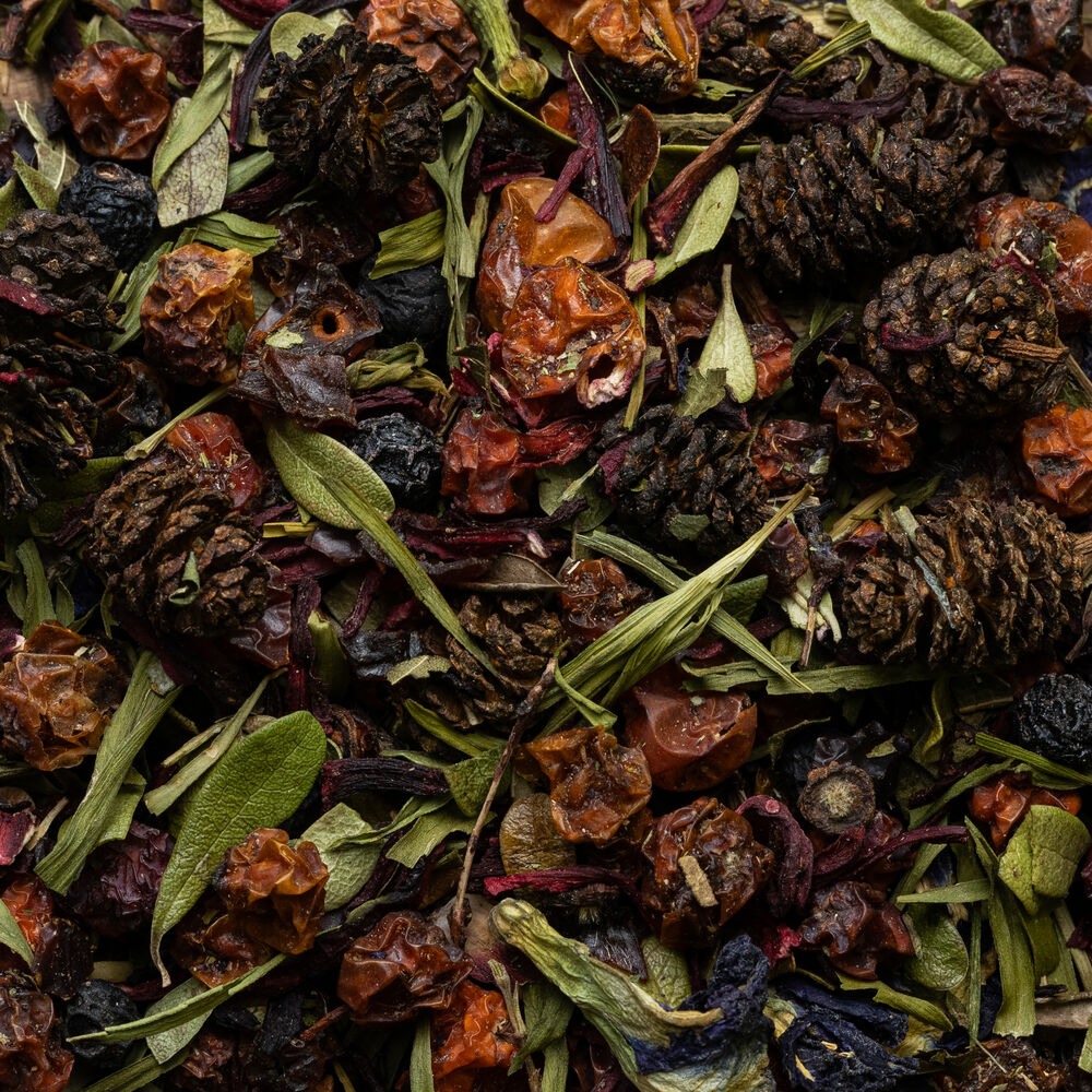 Təbiətin gücü 37033